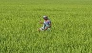 Maharashtra opens kitty for agitating farmers