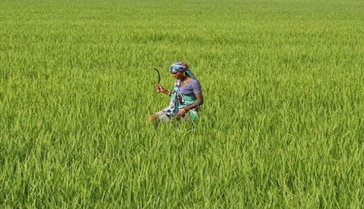 Farmer