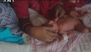 Shocking! Rats nibble on newborn's fingers in Rajasthan's hospital
