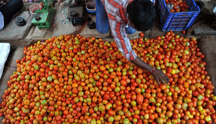 Farmer unrest reaches Himachal: Why the country's tomato bowl is simmering
