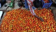 Farmer unrest reaches Himachal: Why the country's tomato bowl is simmering