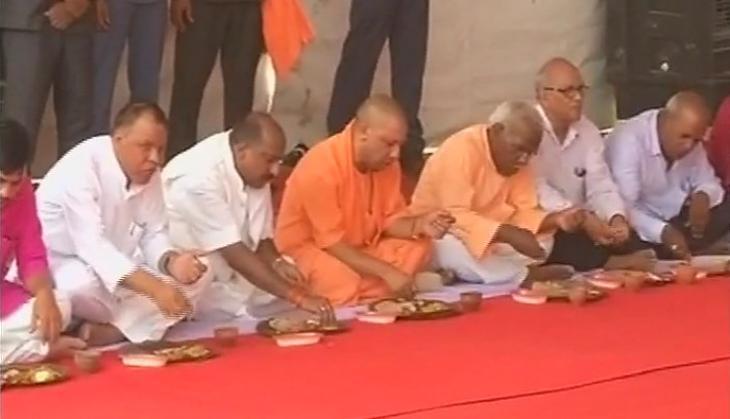 yogi new