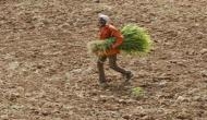 Madhya Pradesh farmer commits suicide in Shivpuri