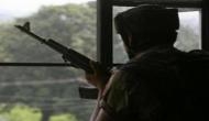 Soldier dies in Pak firing in Naushera