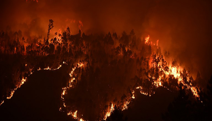 In photos: Portugal forest fires kills more than 60