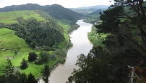 When a river is a person: from Ecuador to New Zealand, nature gets its day in court