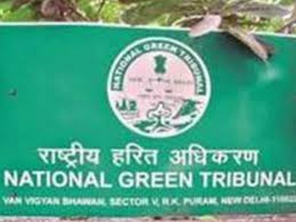 NGT raises questions over 'Gangotri four lane road widening project'