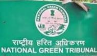 NGT raises questions over 'Gangotri four lane road widening project'