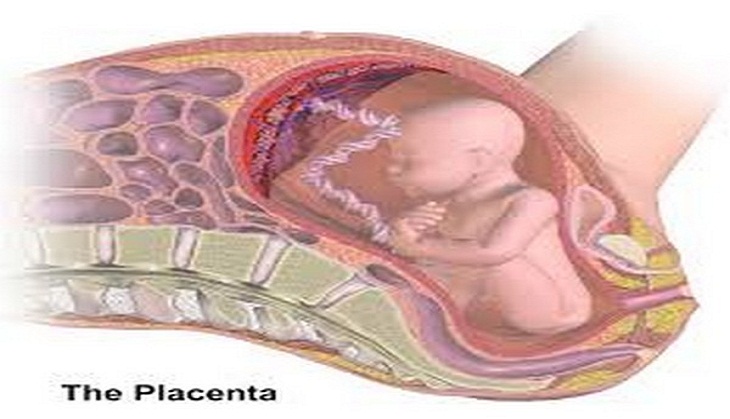 Here's why some babies are born too small