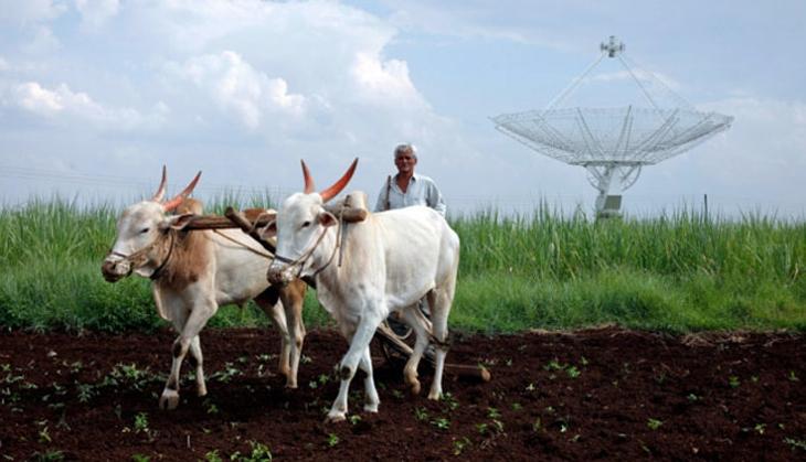 FARMER LOAN