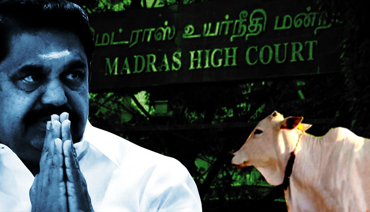 Cattle slaughter ban comes up in TN Assembly: EPS finds himself isolated; Stalin & allies walk out