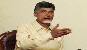 Chandrababu Naidu claims 'Special ED, IT' teams created to raid opposition party leaders