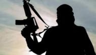Sopore encounter: Two terrorists gunned down, ops underway