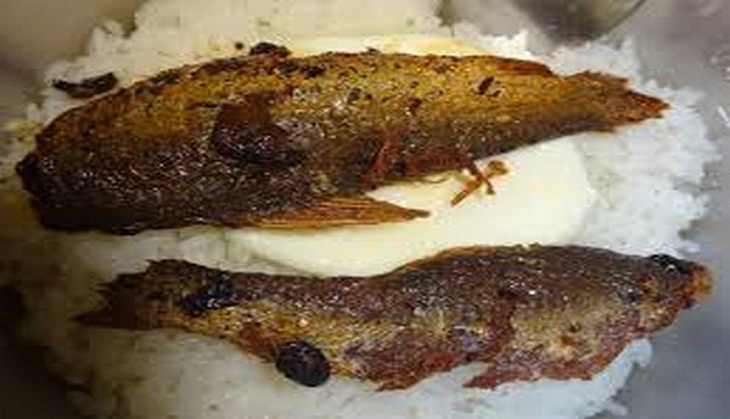Consume fish, soybean for 'healthy brain' in adulthood