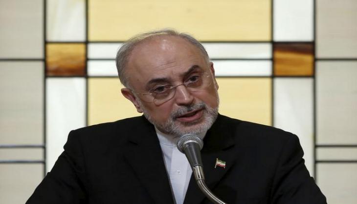 Iranian Vice-President Salehi warns US over Saudi Arabia