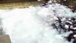 Hyderabad's RK Puram Lake spills toxic foam