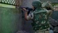UP: 3 dead in encounter, two AK-47 rifles seized in Bahlolpur