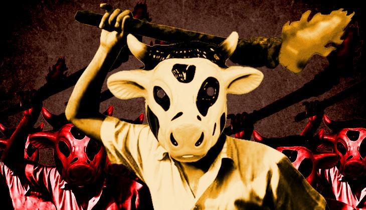 Cow vigilantes
