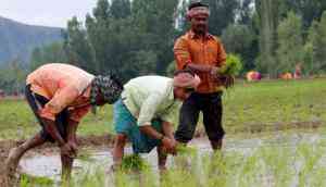 The last-minute cut in GST rate on fertilisers won’t save govt from farmers' ire