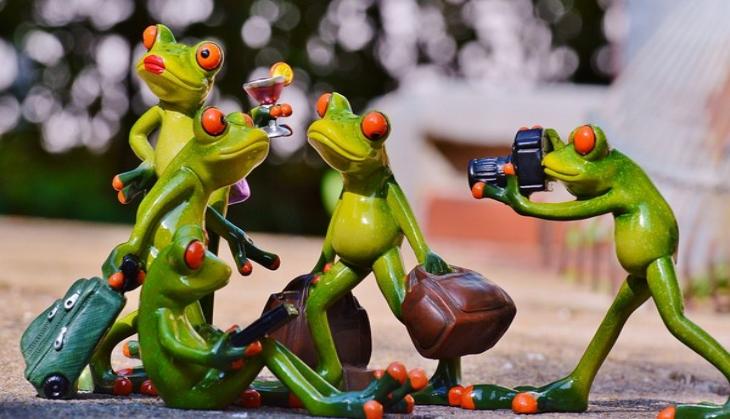 Dinosaur extinction set the stage for frog evolution