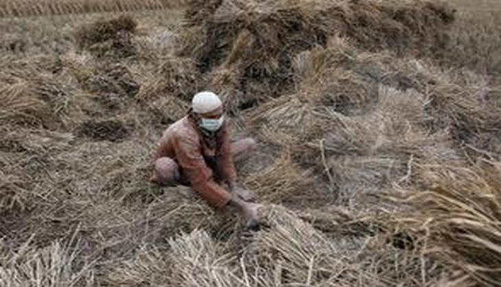 J&K: Govt. organises 'kisan mela' to boost agriculture