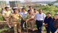 Second consecutive year, Mittal Brothers Pvt. Ltd. does Plantation Drive in Pune