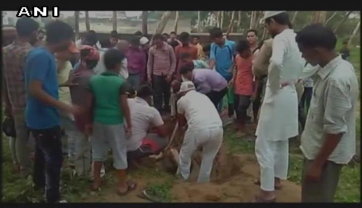 cow rescue