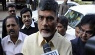 AP CM Naidu asks MPs to continue protest for 'Special Category Status'