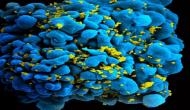 Immune system may help in neutralising body from HIV-1 virus 