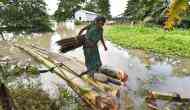 In photos: Kaziranga submerged as NE flooding brings death and despair