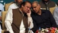Panamagate: Sharif's brother to replace him as PM in case of conviction