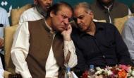 Under Shahbaz, democracy will weaken in Pakistan: Experts