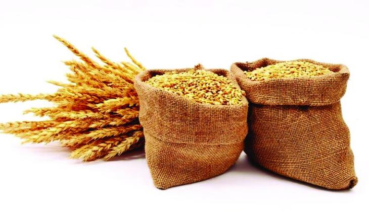 Wheat rises 0.18 pc in futures trade on spot demand 