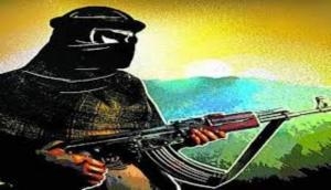  Amarnath terror strike: Hunt on for LeT commander Abu Ismail