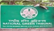 NGT notice to Centre on plea to ban antimony solar panels