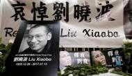 Liu Xiaobo, Chinese dissident who won Nobel prize, dies in custody