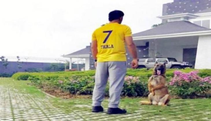 dhoni.