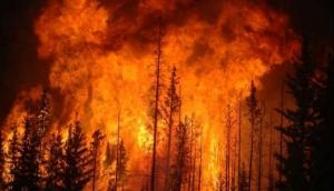 Forced evacuation of 36,000 people in Canada over forest fire outbreak