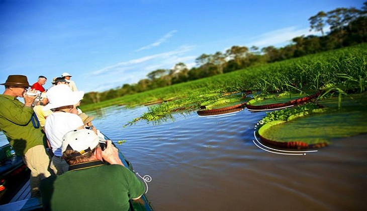 Top things to do in Peru beyond Machu Picchu!