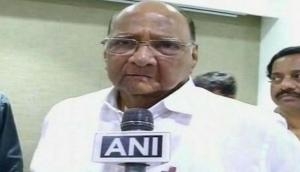 Today's political environment similar to one in 1977: Sharad Pawar