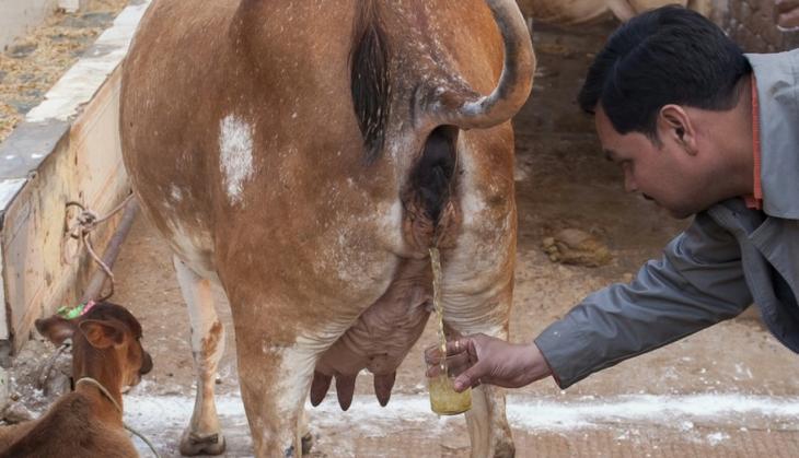 Save Our Science: BJP is taking India's scientific standing to an all-time low