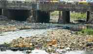 Maharashtra’s Ulhas River has been losing a battle with pollution. Till now