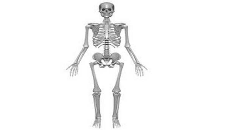 Just 1 minute of daily running improves bone health of women