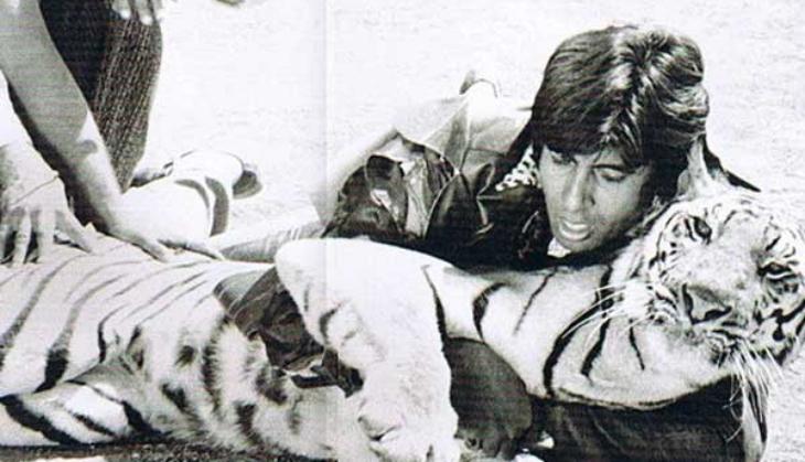 Throwback: 'Daredevil' Big B wrestled a real tiger in Khoon Pasina!