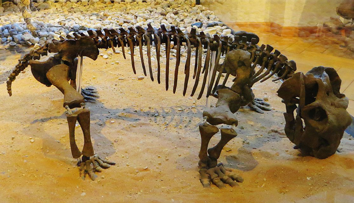 More than 252 million years ago, mammal ancestors became warm-blooded to survive mass extinction