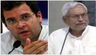 Nitish Kumar meets Rahul Gandhi amid speculations of rift in 'mahagathbandhan'