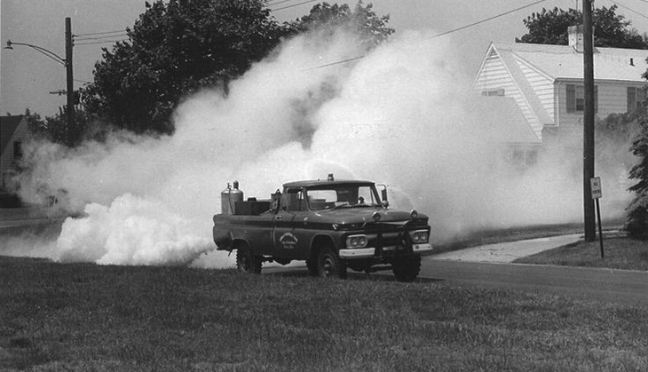 On the origins of environmental bullshit