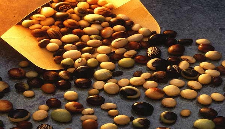 Different countries, different nutritional value of soybean meals