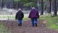 Walk the dog to boost physical activity in later life
