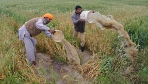 AAP to aim for centrestage through farmer outreach programme
